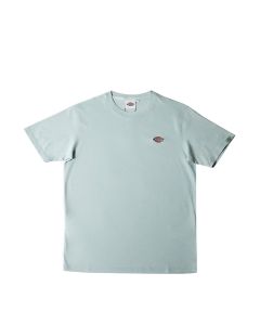 DICKIES MEN'S TEE SS - SURF SPRAY