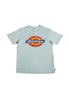 DICKIES SINGLE JERSEY TRI COLOR LOGO TEE SS - SURF SPRAY