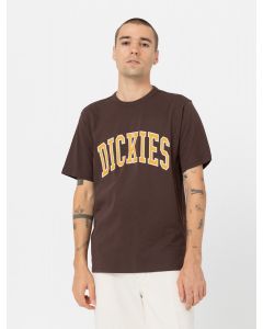 DICKIES MEN'S AITKIN TEE - JAVA