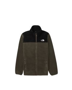 THE NORTH FACE M 100 GLACIER FULL ZIP (ASIA SIZE) - NEW TAUPE GREEN/TN